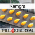 Kamgra cialis1